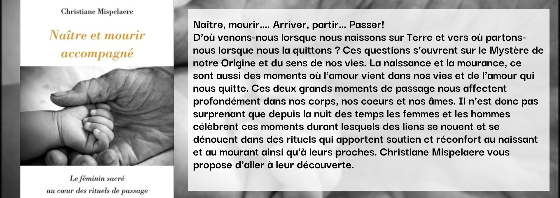 Sans titre 1920 680 px 1920 480 px 1920 680 px 2